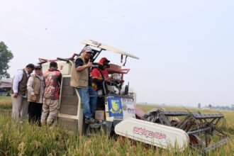 BULOG Tegaskan Stok Beras 5,25 Juta Ton Tersebar di Seluruh Gudang Indonesia