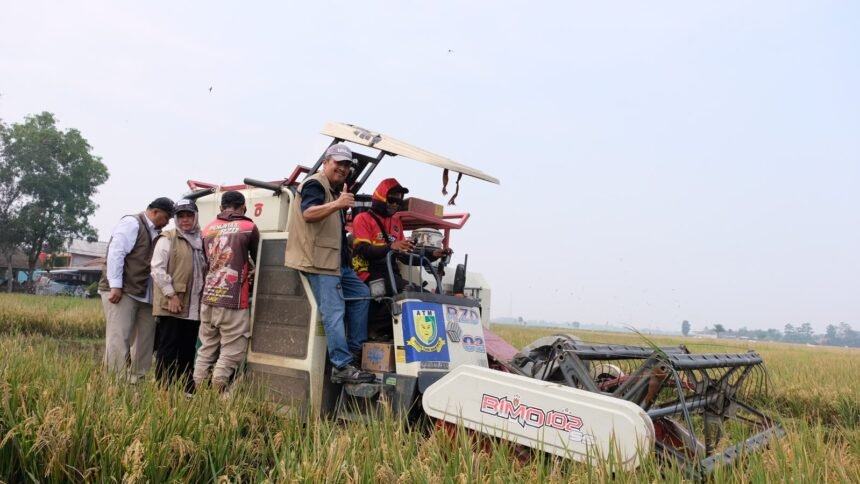 BULOG Tegaskan Stok Beras 5,25 Juta Ton Tersebar di Seluruh Gudang Indonesia