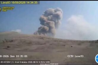 Gunung Anak Krakatau Erupsi 9 Kali, Kolom Abu Capai 400 Meter (Foto PVMBG)