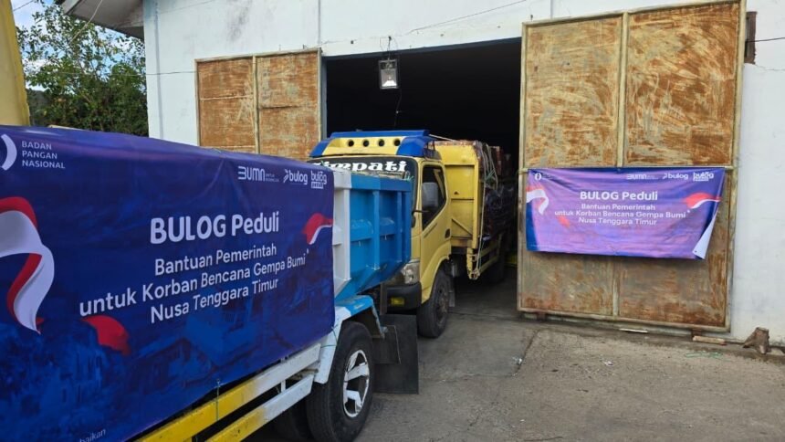 Kepala Bapanas dan Dirut BULOG Tinjau Langsung Penyaluran Bantuan Korban Gempa Flores