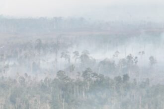 Titik Api Baru Bermunculan di Kalimantan, BNPB Perkuat Operasi Modifikasi Cuaca dan Satgas Udara