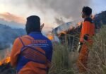 Kawah Wurung Bondowoso Terbakar, Sekitar 10 Hektare Lahan Hangus (Foto: BPBD Bondowoso)