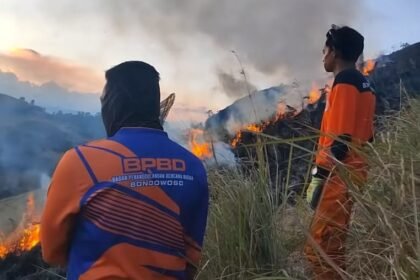 Kawah Wurung Bondowoso Terbakar, Sekitar 10 Hektare Lahan Hangus (Foto: BPBD Bondowoso)