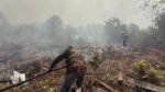 Waduh! 108 Sekolah di Serian Malaysia Ditutup akibat Kabut Asap Kebakaran Hutan Kalimantan