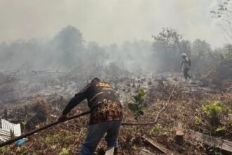 Waduh! 108 Sekolah di Serian Malaysia Ditutup akibat Kabut Asap Kebakaran Hutan Kalimantan