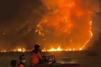 Kebakaran Bromo Meluas Hingga 520 Hektar, Dipicu Angin Kemarau dan Sisa Bara di Dalam Hutan