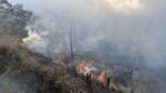 Gunakan Gebyok Hingga Sekat Bakar, Ratusan Petugas Gabungan Berjibaku Jinakkan Api di Gunung Bromo