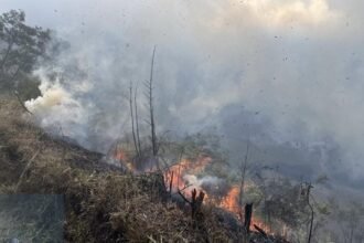 Gunakan Gebyok Hingga Sekat Bakar, Ratusan Petugas Gabungan Berjibaku Jinakkan Api di Gunung Bromo