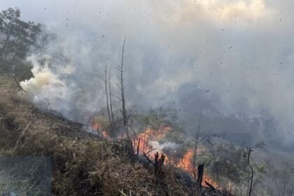 Gunakan Gebyok Hingga Sekat Bakar, Ratusan Petugas Gabungan Berjibaku Jinakkan Api di Gunung Bromo