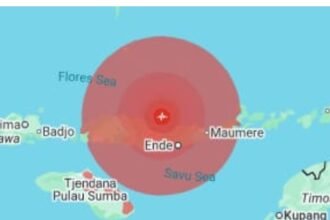 Gempa M7,7 Flores Berpotensi Tsunami, Ini Perkiraan Waktu Tibanya