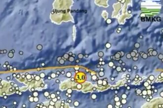 NTT Terus Bergetar, Terjadi 2.119 Gempa Susulan, BNPB Prediksi Baru Stabil Awal September