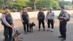 Misi Pencarian Korban Gempa NTT, Polri Kirim 260 Pasukan Gabungan dan Unit K-9