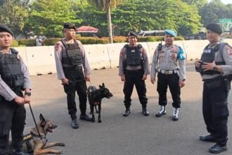 Misi Pencarian Korban Gempa NTT, Polri Kirim 260 Pasukan Gabungan dan Unit K-9