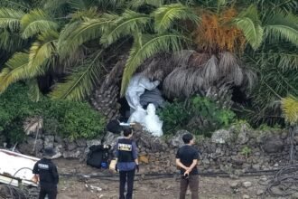 Oknum Polisi Pulau Jeju Tutup Kasus Orang Hilang dan Bohongi Keluarga, 4 Korban Ditemukan Tewas