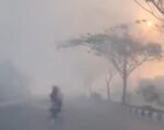 Kabut Asap Ancam Warga Palangka Raya, Pasien ISPA Melonjak Jadi 201 Hanya dalam Setengah Bulan