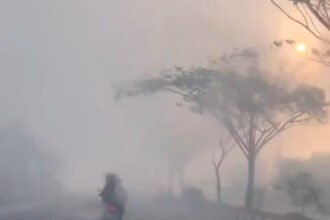 Kabut Asap Ancam Warga Palangka Raya, Pasien ISPA Melonjak Jadi 201 Hanya dalam Setengah Bulan