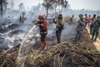 Cegah Karhutla Meluas, BNPB Buat Call Center Darurat 117 Untuk Warga Laporkan Titik Api