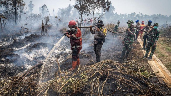 Cegah Karhutla Meluas, BNPB Buat Call Center Darurat 117 Untuk Warga Laporkan Titik Api
