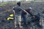 2 Petani di Bengkalis Diringkus Polisi Karena Nekat Bakar Lahan Demi Kebun Sawit