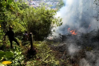 Dilema Karhutla Kalsel: Air Kolam Disedot Heli Water Bombing, 2 Ton Ikan Milik Warga Stres dan Mati