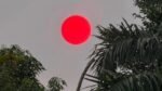 Matahari Merah Pekat Menyala di Langit Palangka Raya akibat Kabut Asap, Sinyal Bahaya Karhutla