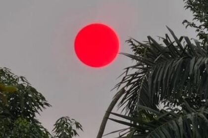 Matahari Merah Pekat Menyala di Langit Palangka Raya akibat Kabut Asap, Sinyal Bahaya Karhutla