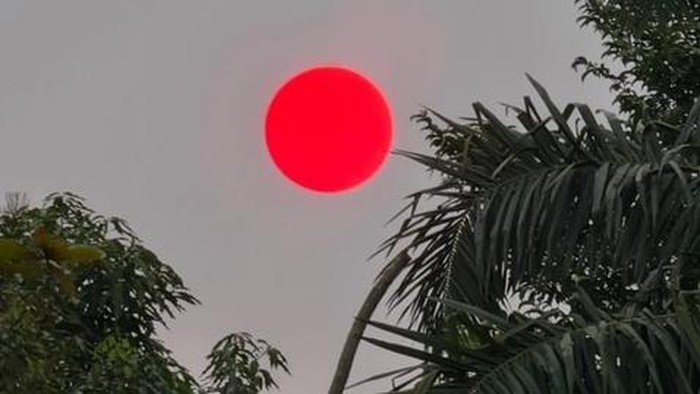 Matahari Merah Pekat Menyala di Langit Palangka Raya akibat Kabut Asap, Sinyal Bahaya Karhutla