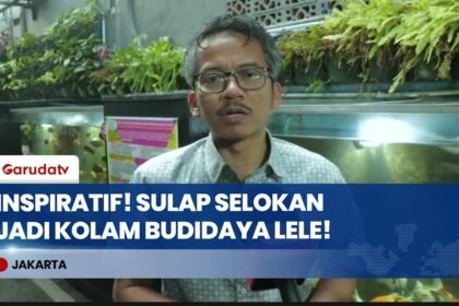 Inspiratif! Ketua RT di Malaka Jaya Sulap Selokan Jadi Kolam Lele & Olah Sampah Mandiri