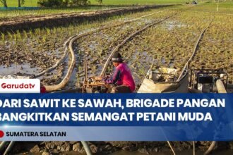 Brigade Pangan Tarik Minat Generasi Muda Kembali Bertani di Ogan Ilir