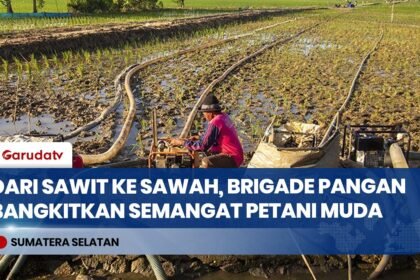 Brigade Pangan Tarik Minat Generasi Muda Kembali Bertani di Ogan Ilir