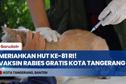 Meriahkan HUT Ke-81 RI, Pemkot Tangerang Gelar Layanan Vaksin Rabies Gratis Bagi Anabul