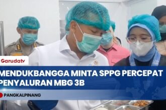 Mendukbangga Minta SPPG Percepat Penyaluran MBG 3B di Bangka Belitung