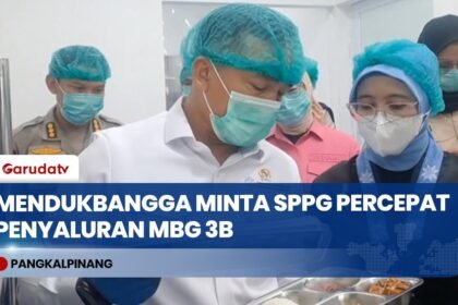 Mendukbangga Minta SPPG Percepat Penyaluran MBG 3B di Bangka Belitung