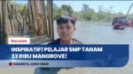 Inspiratif! Pelajar SMP di Surabaya Tanam 33 Ribu Mangrove Demi Jaga Pesisir Wonorejo
