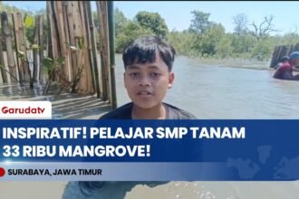 Inspiratif! Pelajar SMP di Surabaya Tanam 33 Ribu Mangrove Demi Jaga Pesisir Wonorejo