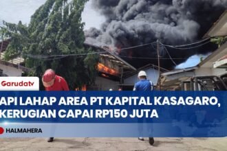 Kebakaran Hebat di PT Kapital Kasagaro, 3 Hektare Lahan dan 10 Kamar Mes Hangus