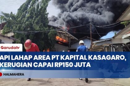 Kebakaran Hebat di PT Kapital Kasagaro, 3 Hektare Lahan dan 10 Kamar Mes Hangus