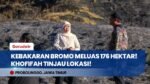 Gubernur Khofifah Tinjau Karhutla Gunung Bromo, Luas Kebakaran Tembus 176 Hektar