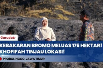 Gubernur Khofifah Tinjau Karhutla Gunung Bromo, Luas Kebakaran Tembus 176 Hektar