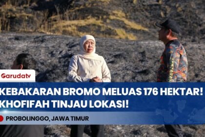 Gubernur Khofifah Tinjau Karhutla Gunung Bromo, Luas Kebakaran Tembus 176 Hektar