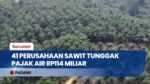 Pajak Air Menunggak Rp114 Miliar, 41 Perusahaan Sawit Disorot Pemprov Sumbar