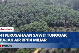 Pajak Air Menunggak Rp114 Miliar, 41 Perusahaan Sawit Disorot Pemprov Sumbar