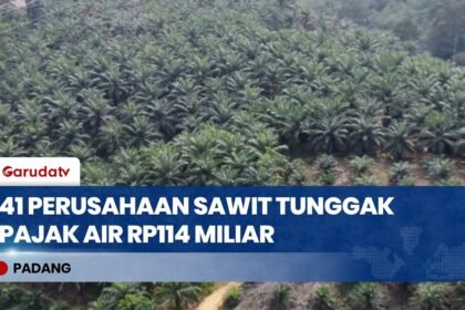 Pajak Air Menunggak Rp114 Miliar, 41 Perusahaan Sawit Disorot Pemprov Sumbar