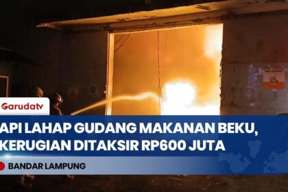 Gudang Makanan Beku di Bandar Lampung Terbakar, Kerugian Rp600 Juta