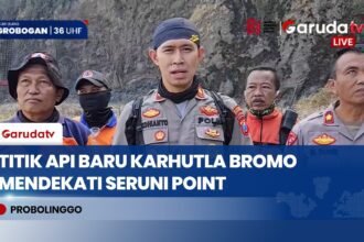 Karhutla Gunung Bromo Meluas, Api Dekati Objek Wisata Seruni Point