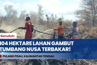 Karhutla Tumbang Nusa Meluas Hingga 104 Hektare, Helikopter Water Bombing Dikerahkan!