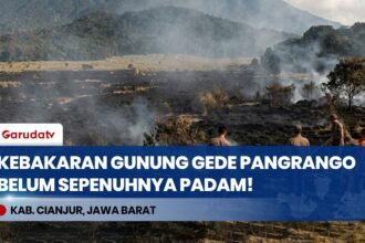Kebakaran Taman Nasional Gunung Gede Pangrango Memasuki Sepekan, Petugas Temukan Bara Api