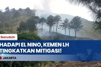 Antisipasi El Nino & Karhutla, Menteri LH Jumhur Hidayat Siapkan Kanal Blocking