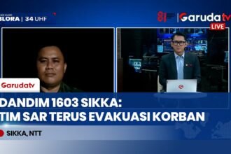 Update Gempa M 7,7 Sikka: Terhubung Langsung Bersama Dandim 1603/Sikka Letkol Denny Riesta