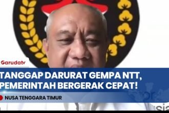 Kemenko PMK Pastikan Penanganan Darurat Gempa M 7,7 Flores NTT Bergerak Cepat